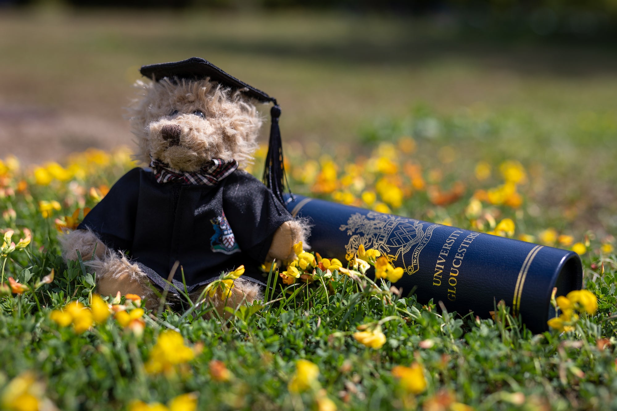 Certificate Tube Holder