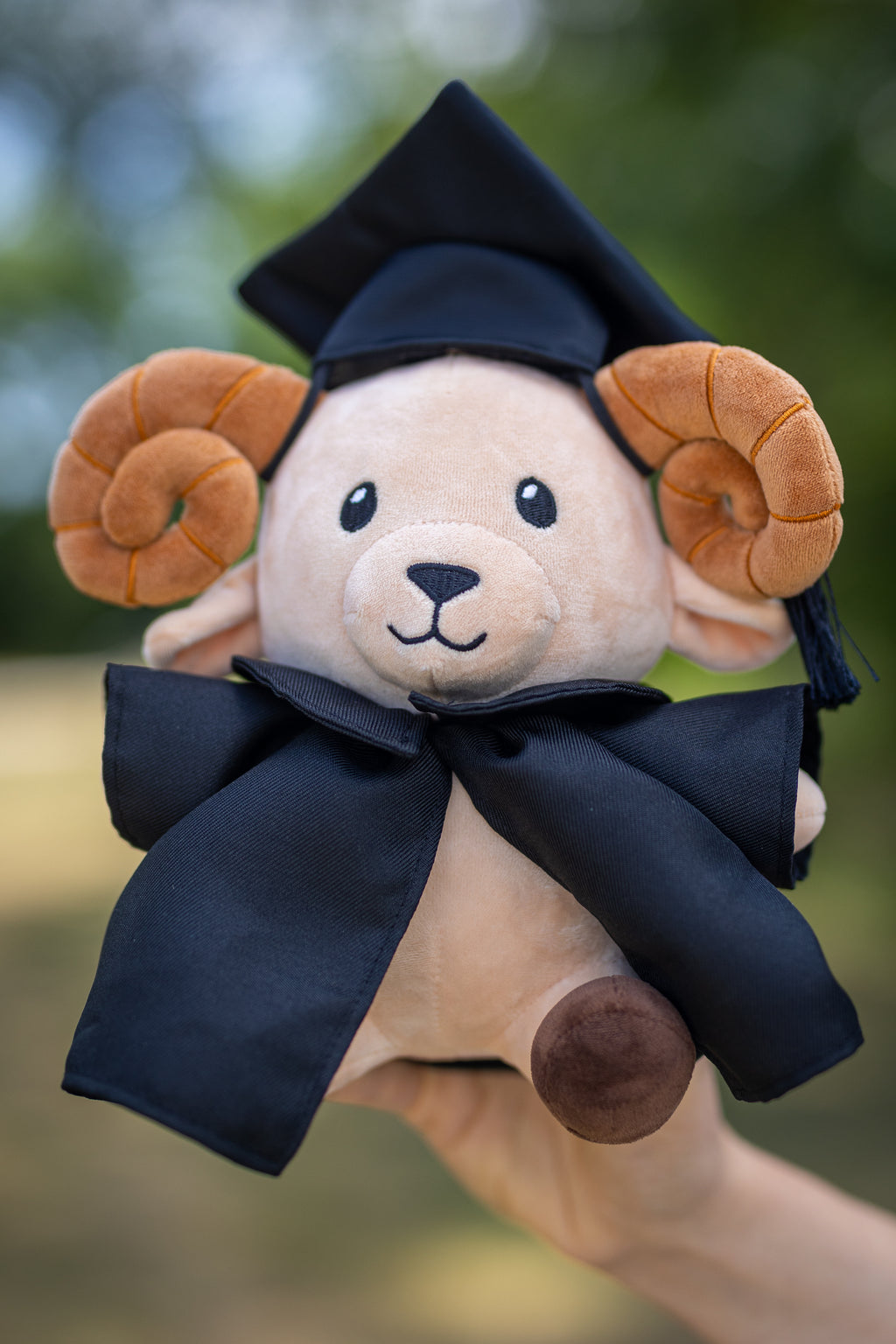 A plush goat toy wearing a black graduation cap and gown, held up by a hand against a blurred green outdoor background.