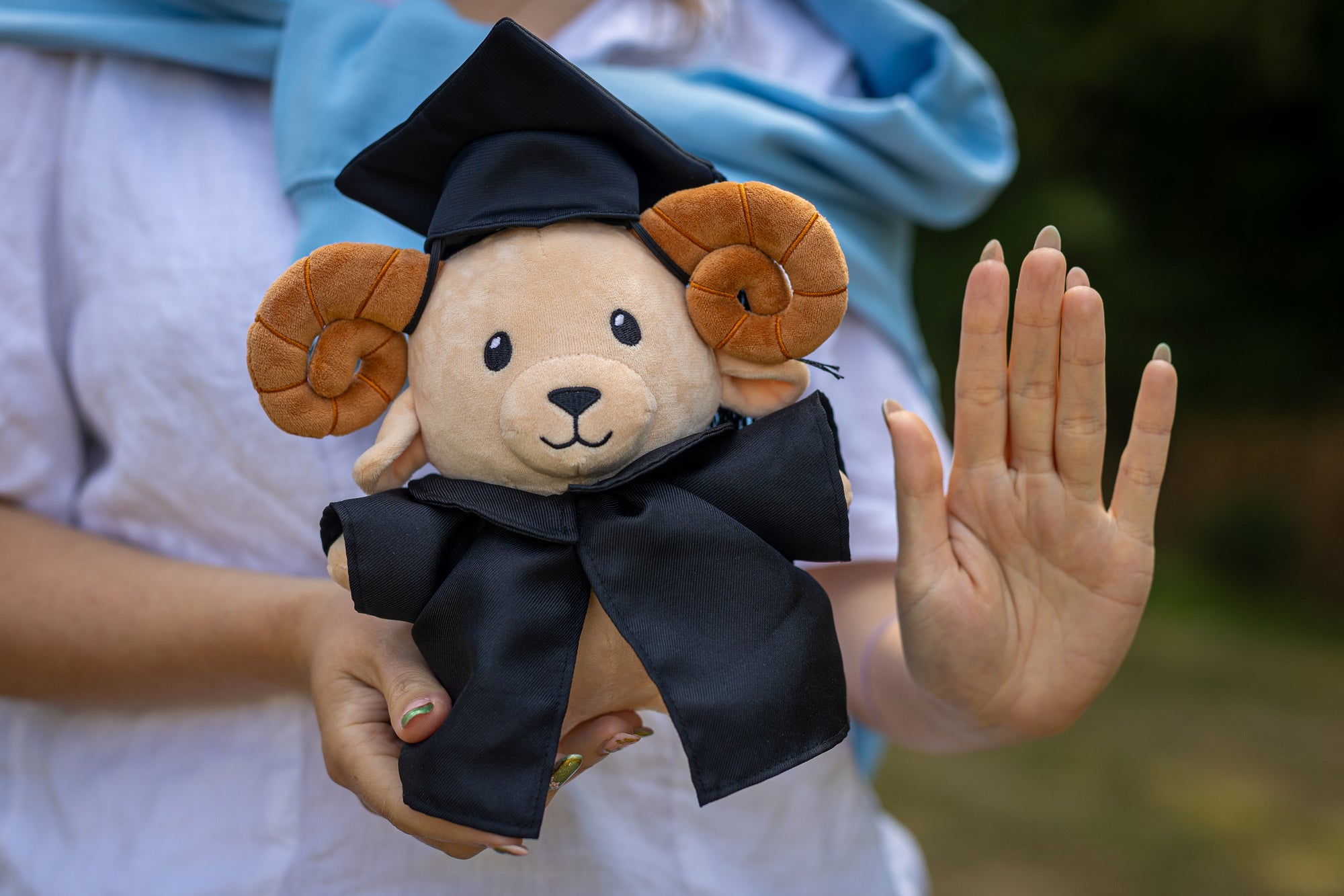 A plush teddy goat wearing a black graduation cap and gown, held by a person, with hand for size reference