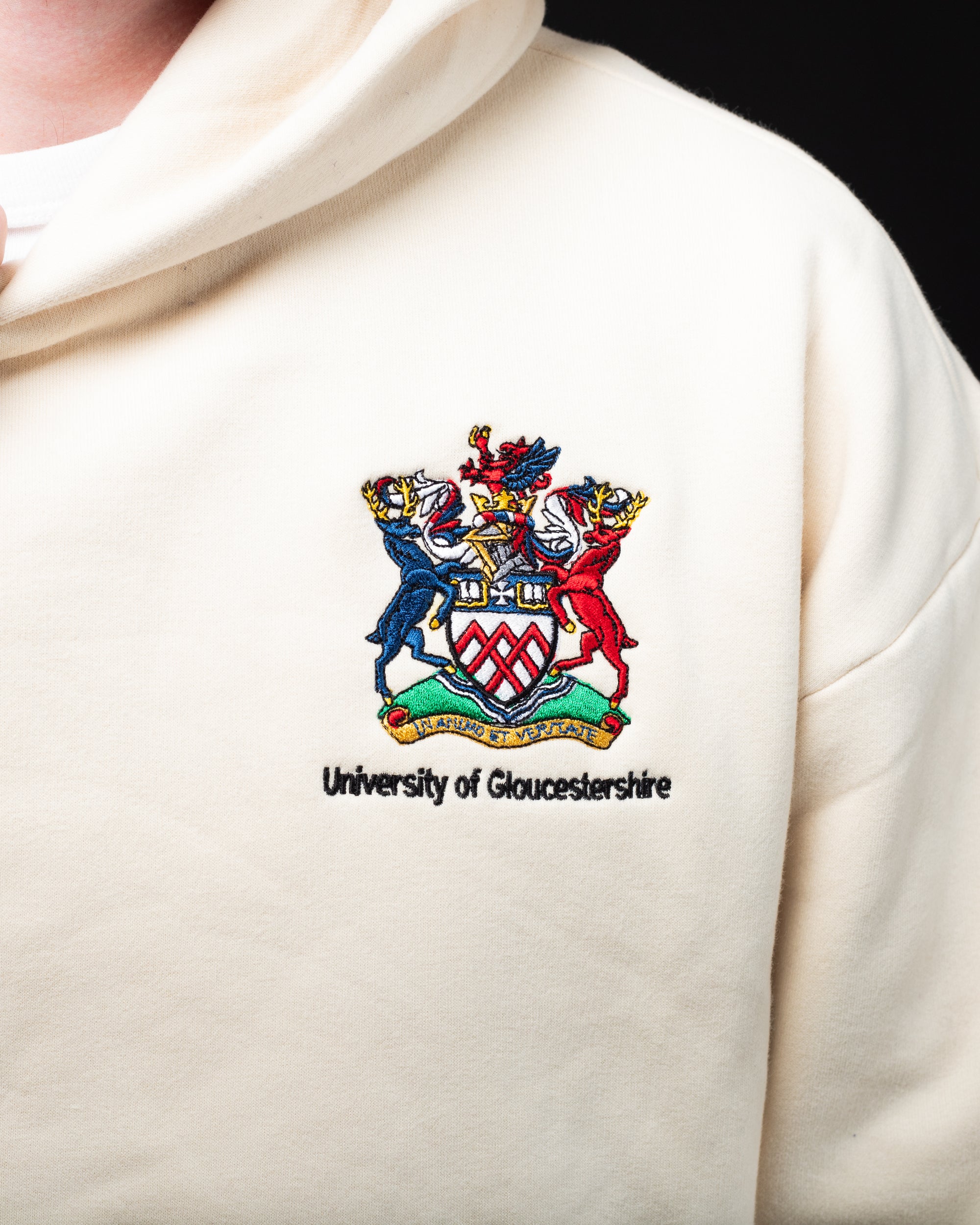 Relaxed Embroidered Hoodie